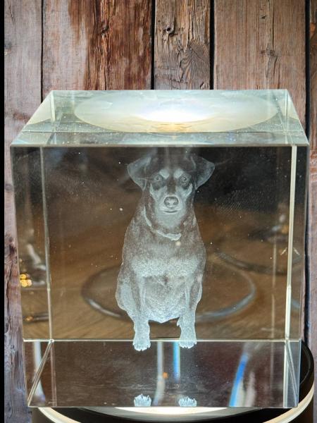 K9 Glasblock mit Innengravur